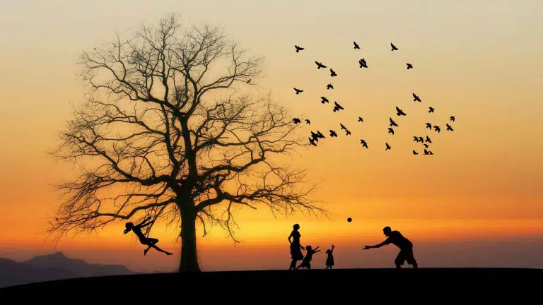 family playing under a tree at sunset