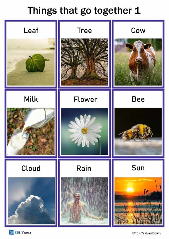 54 Free Things That Go Together Cards And Word List