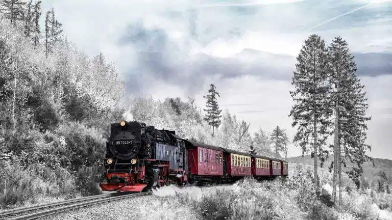 train travellin in snowy landscape