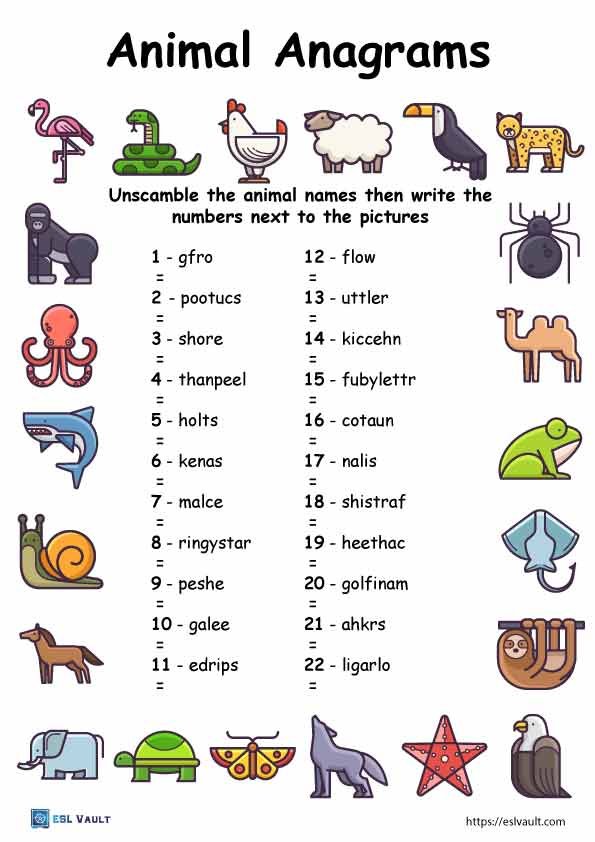 animal anagrams worksheet with pictures