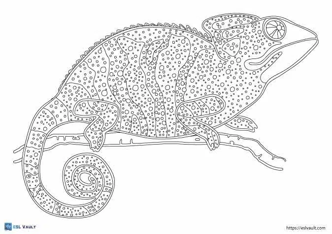 chameleon lizard coloring page