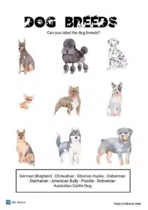 dog breeds worksheet