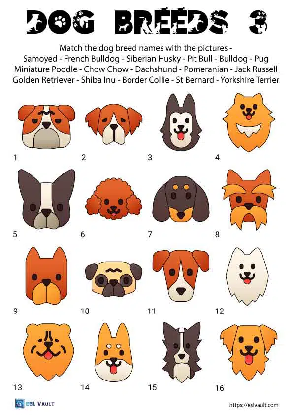 dog breeds worksheet 3