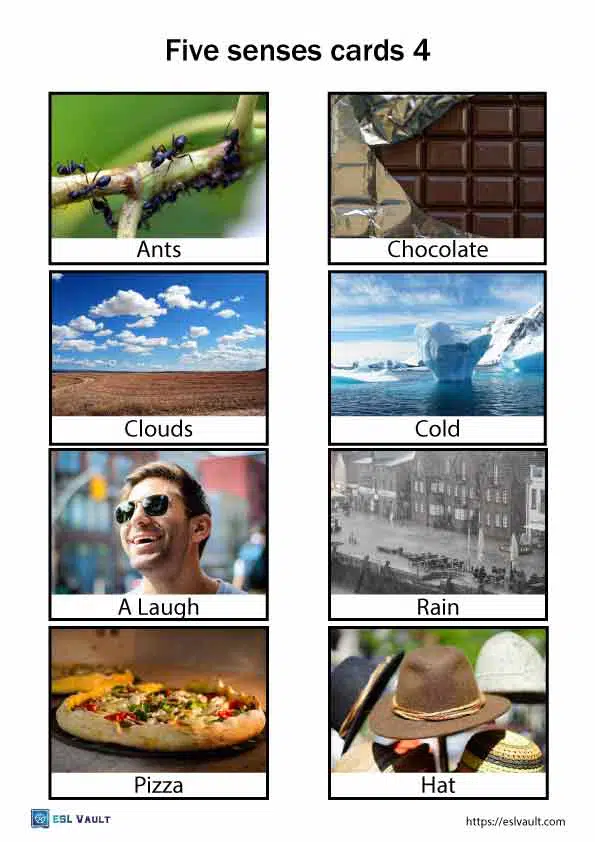 five senses cards 4