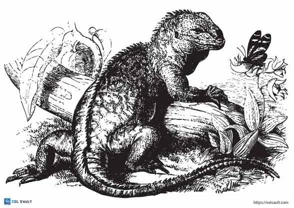 realistic iguana coloring page