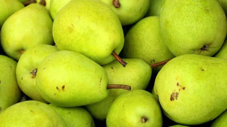 green pears close up