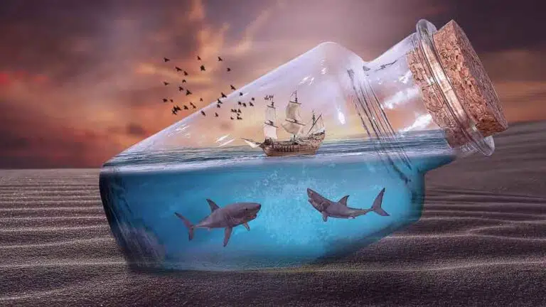 shark in a bottle