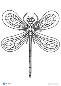 dragonfly coloring page 1