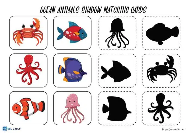 ocean animals shadow matching cards