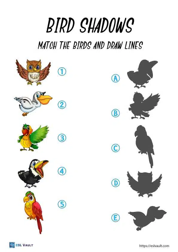 shadow matching worksheets birds