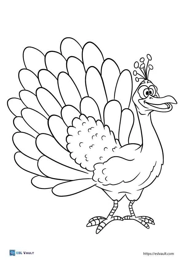 cartoon peacock coloring pages