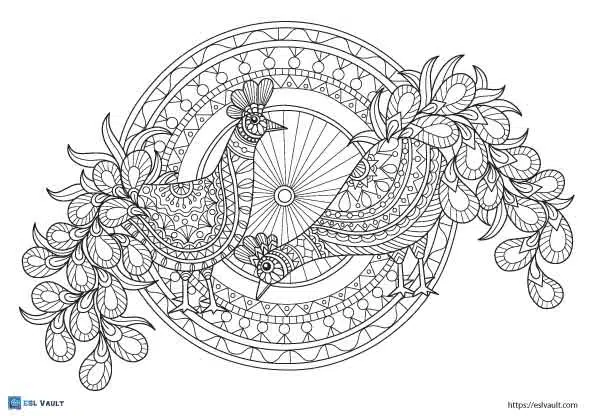 peacock coloring pages for adults printable