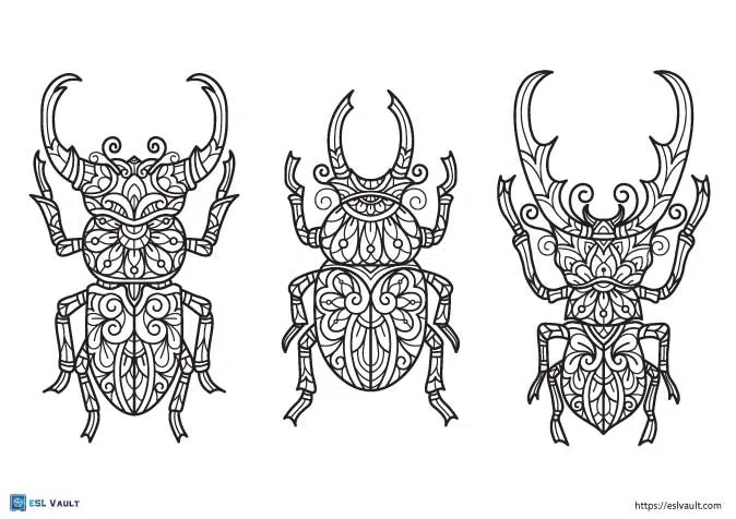 3 beetle coloring page