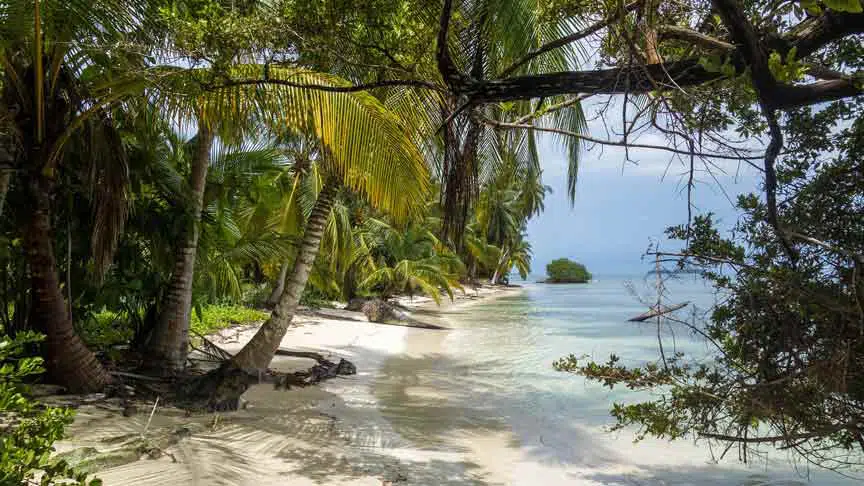 a desert island beach scene