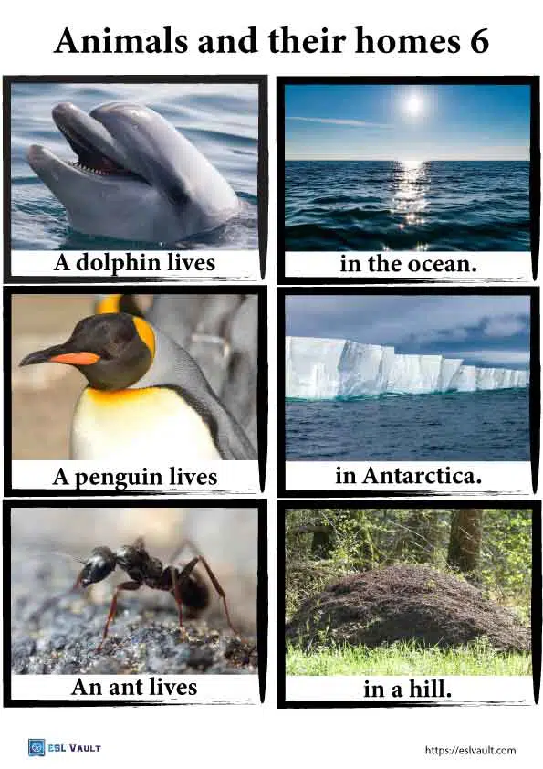 animals and their homes pictures pdf