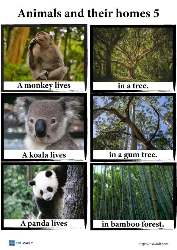 animals and their homes printables