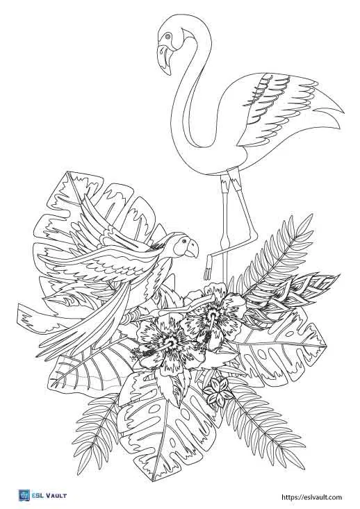 detailed flamingo coloring page