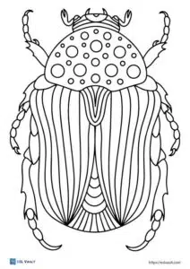 free pdf beetle coloring pages