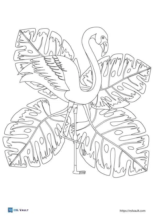 monstera flamingo coloring page