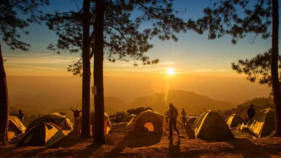 people camping in tents