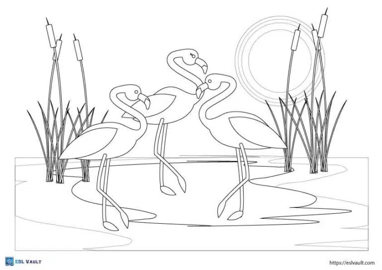 simple flamingo coloring page