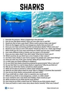 25 shark conversation questions
