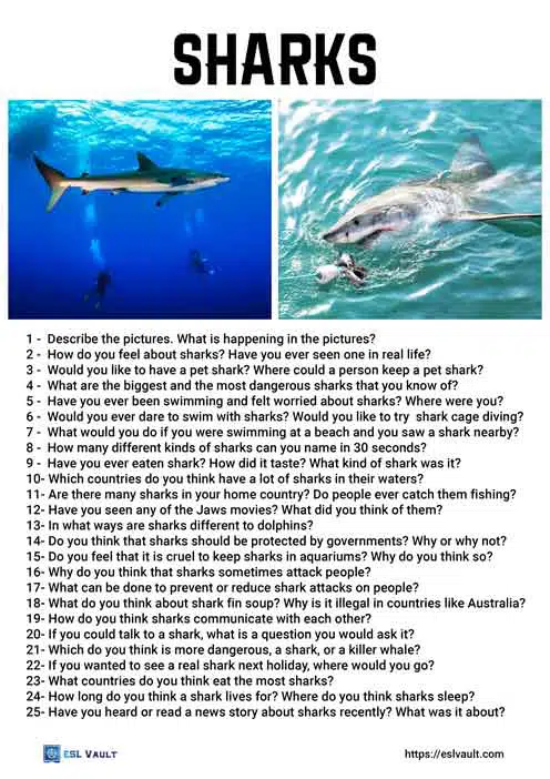 25 shark conversation questions