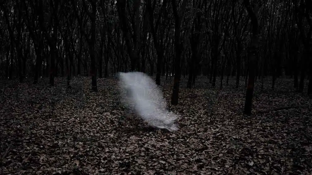 a ghost in a dark forest