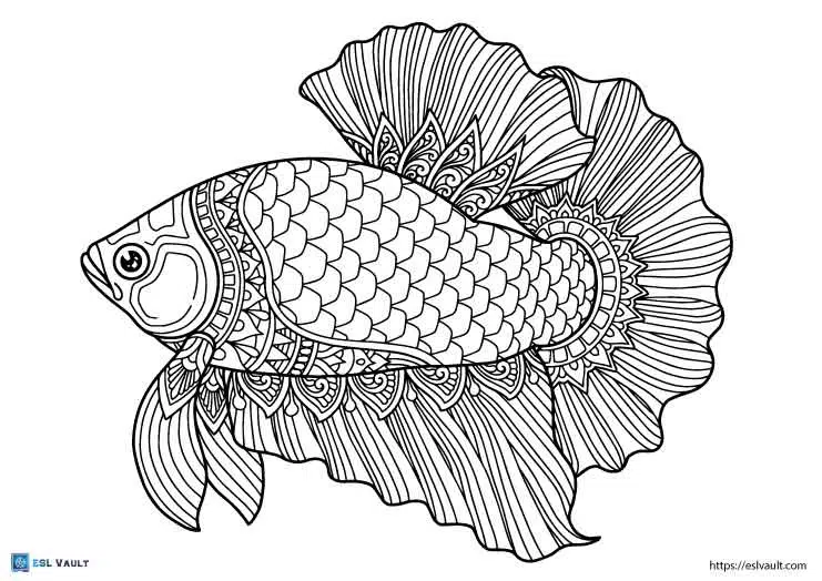 betta fish coloring page adults