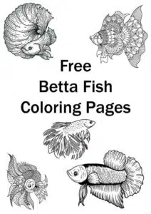 Cacto Setiechinopsis Mirabilis ou flor-da-oração  Free printable coloring  pages, Free printable coloring, Coloring pages