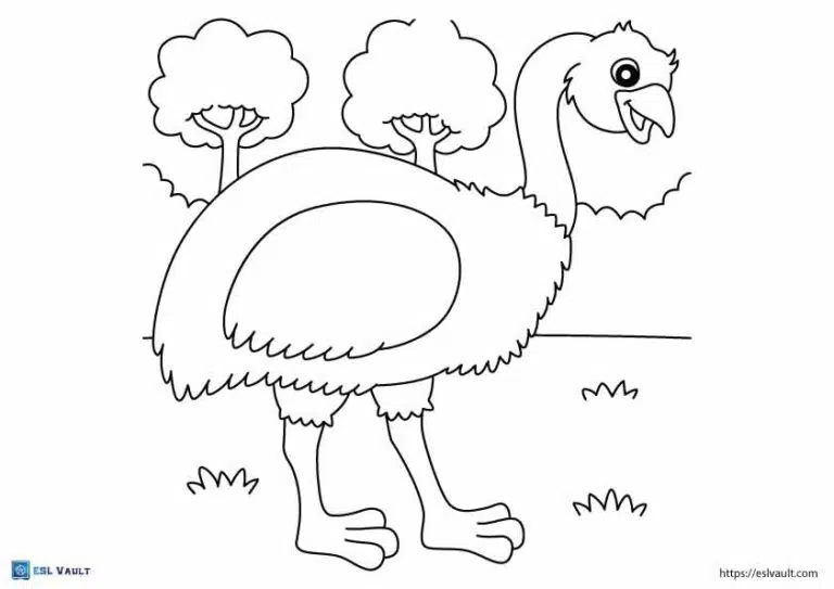 australian animals coloring pages emu