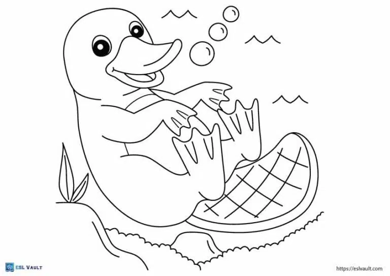 australian animals coloring pages platypus