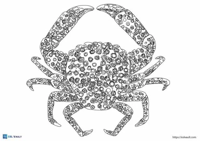 intricate sea crab coloring pages