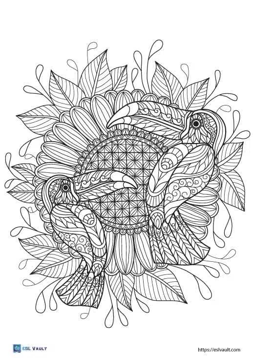 printable toucan coloring page