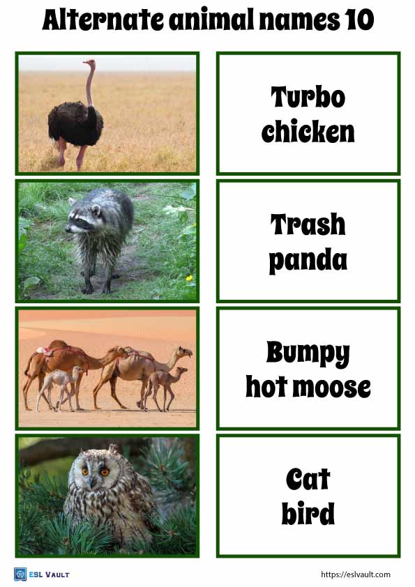 alternate animal names game 10