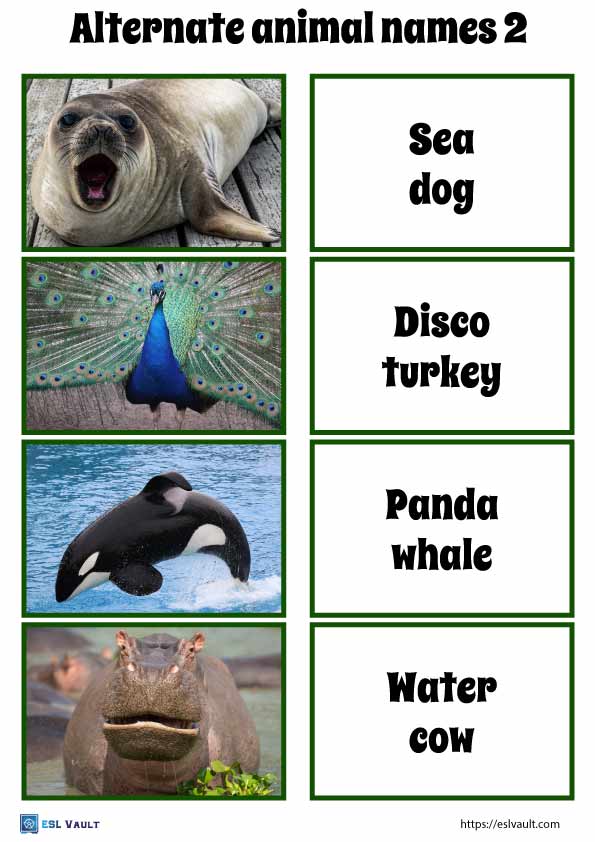alternate animal names game 2