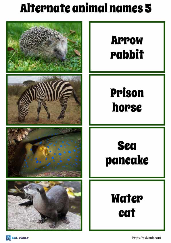 alternate animal names game 5
