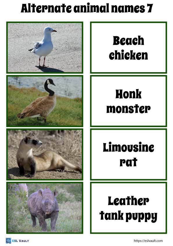 alternate animal names game 7