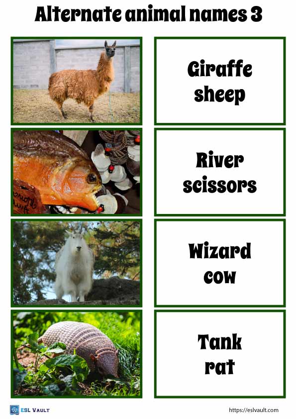 funny alternate animal names game 3