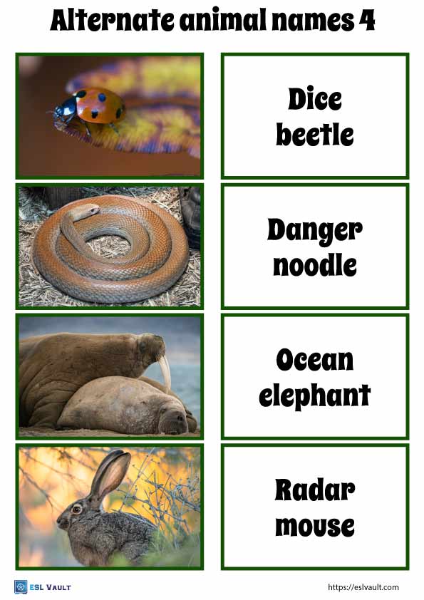 funny alternate animal names game 4