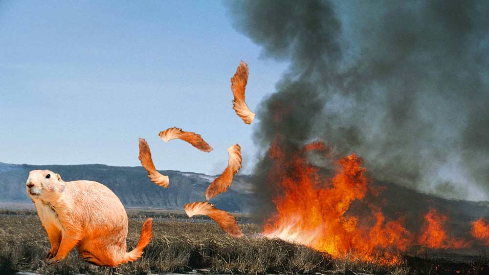 faster than a prairie fire with a tailwind