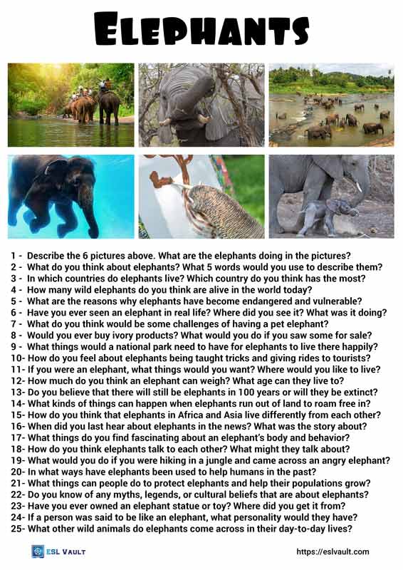 25 Mighty elephants conversation questions - ESL Vault