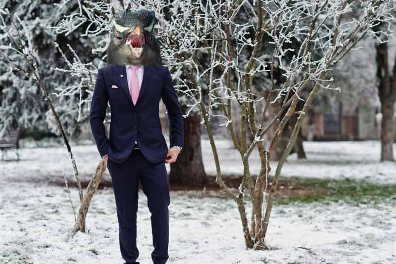 colder than a penguins tuxedo