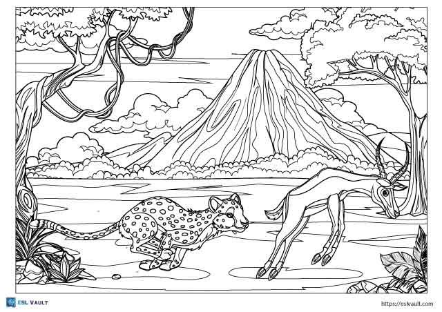 hunting cheetah coloring page