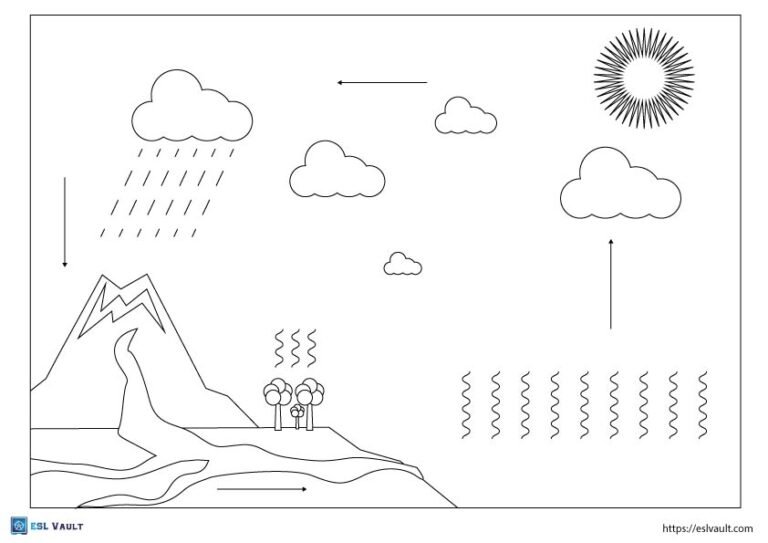 blank water cycle diagram