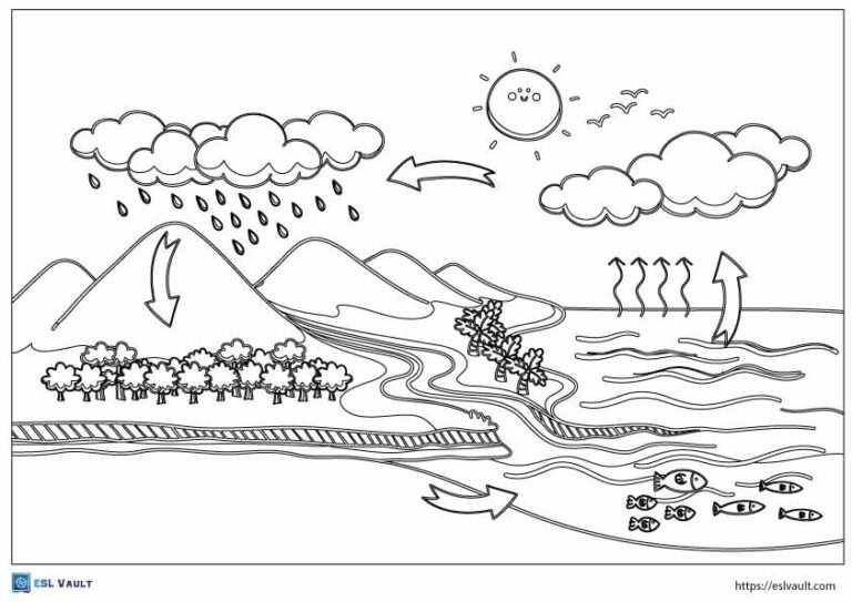 cute water life cycle coloring page