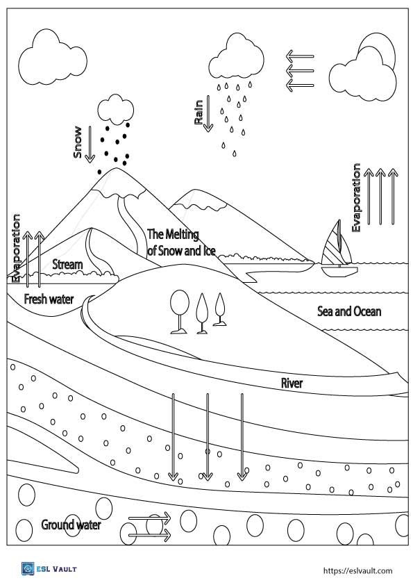 labeled water cycle diagram