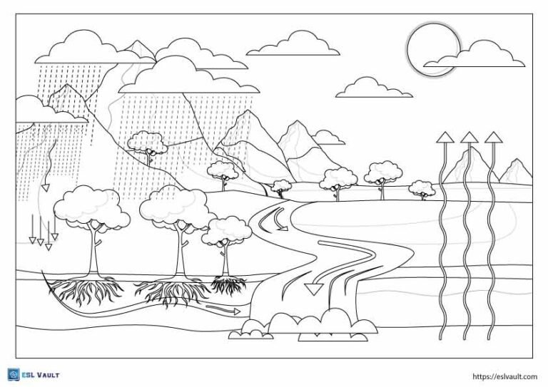 water cycle coloring page