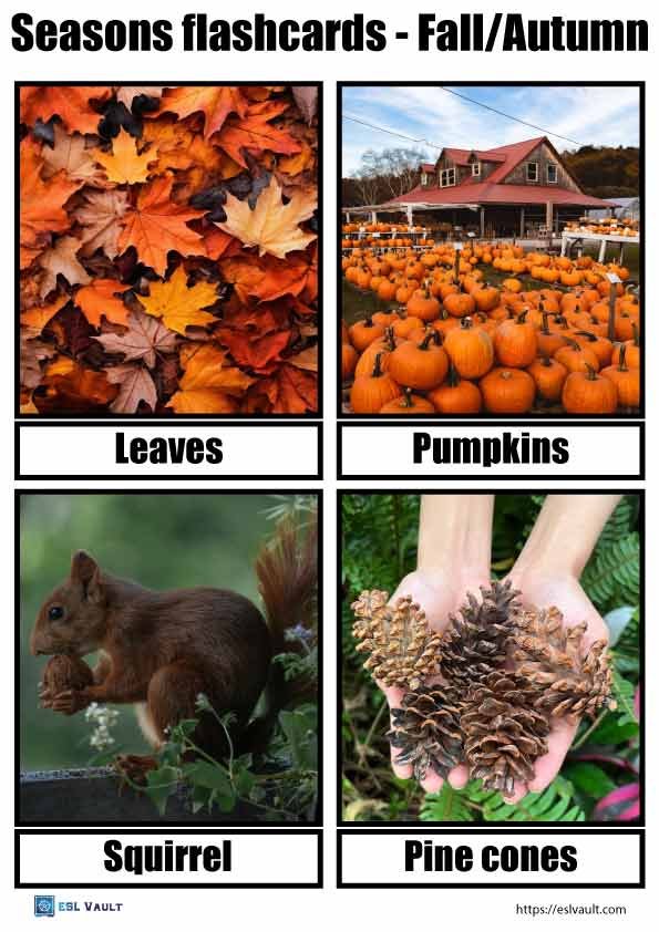 free printable seasons flashcards fall