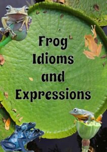 frog idioms and expressions